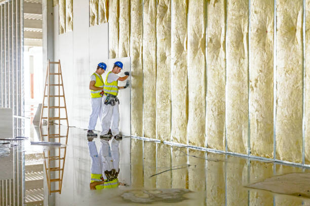 Best Insulation Installation Services in Nevada City, CA